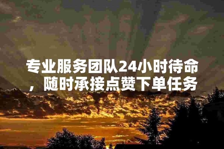 专业服务团队24小时待命，随时承接点赞下单任务。