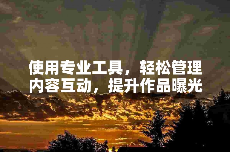 使用专业工具，轻松管理内容互动，提升作品曝光度。