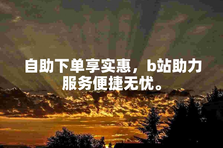 自助下单享实惠，b站助力服务便捷无忧。