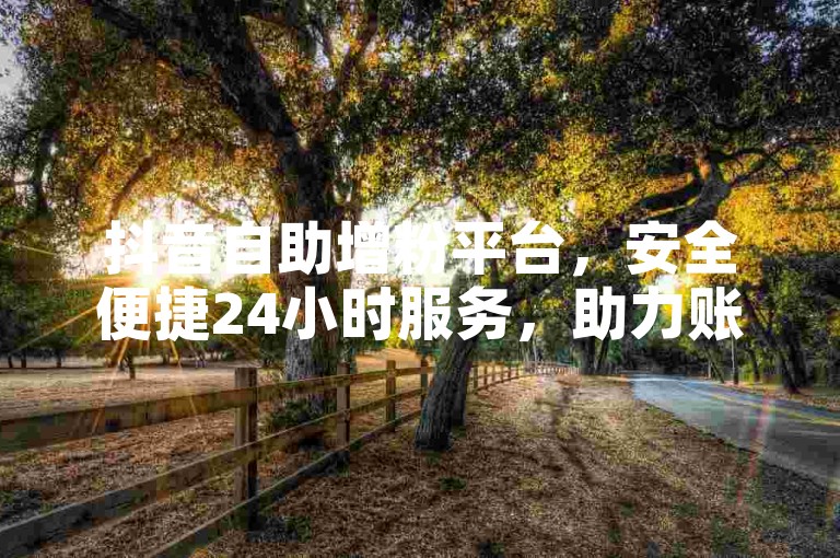 抖音自助增粉平台，安全便捷24小时服务，助力账号成长。