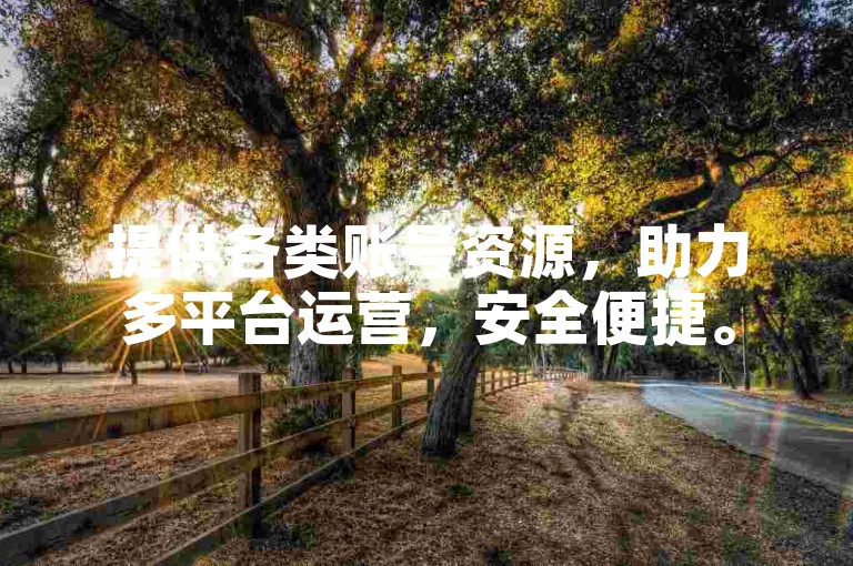 提供各类账号资源，助力多平台运营，安全便捷。