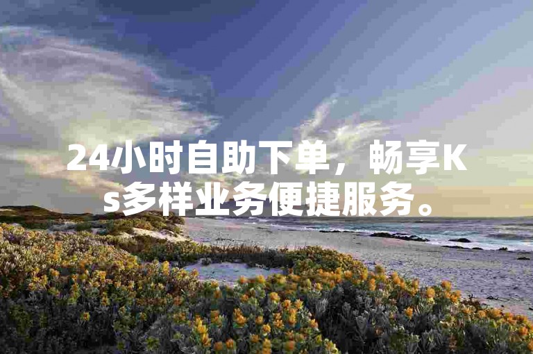 24小时自助下单，畅享Ks多样业务便捷服务。