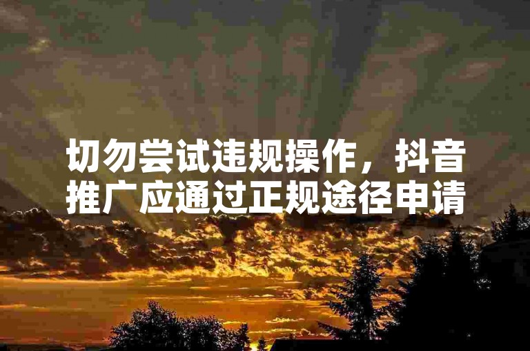 切勿尝试违规操作,抖音推广应通过正规途径申请加入。