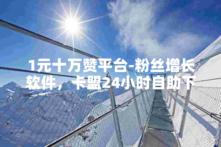 1元十万赞平台-粉丝增长软件，卡盟24小时自助下单
