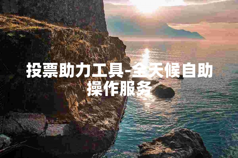 投票助力工具-全天候自助操作服务