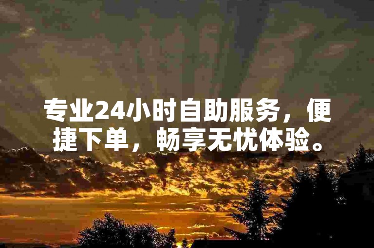 专业24小时自助服务，便捷下单，畅享无忧体验。