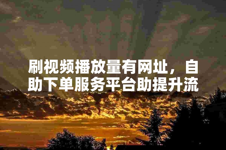 刷视频播放量有网址，自助下单服务平台助提升流量。