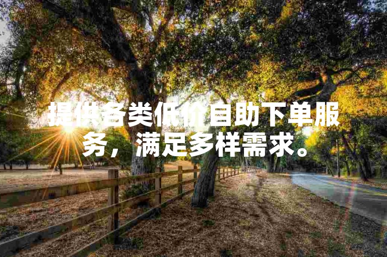 提供各类低价自助下单服务，满足多样需求。
