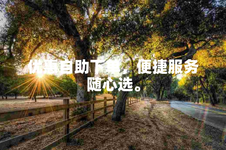 优惠自助下单，便捷服务随心选。