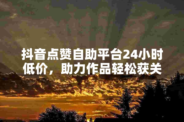 抖音点赞自助平台24小时低价，助力作品轻松获关注。