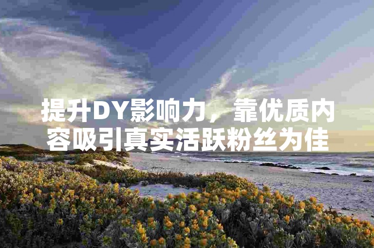 提升DY影响力，靠优质内容吸引真实活跃粉丝为佳。
