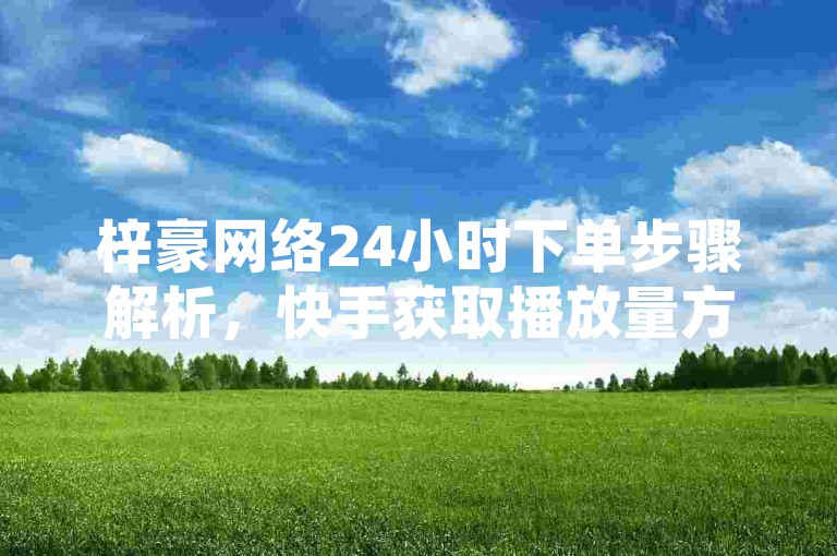 梓豪网络24小时下单步骤解析，快手获取播放量方法介绍。