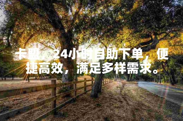 卡盟，24小时自助下单，便捷高效，满足多样需求。