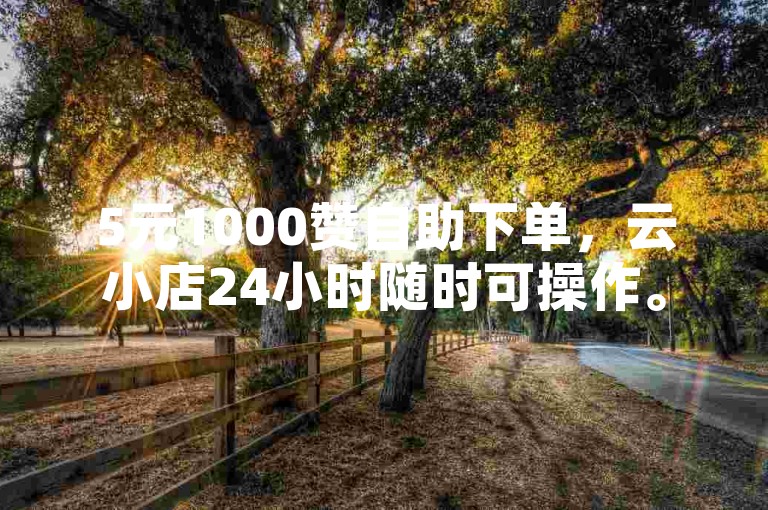 5元1000赞自助下单，云小店24小时随时可操作。