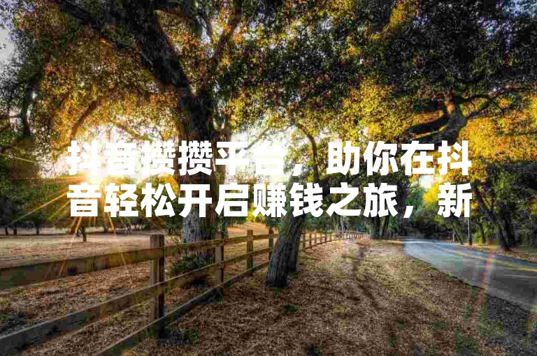 抖音攒攒平台，助你在抖音轻松开启赚钱之旅，新手必知！