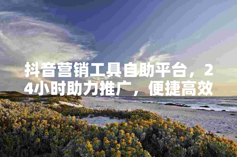 抖音营销工具自助平台，24小时助力推广，便捷高效。