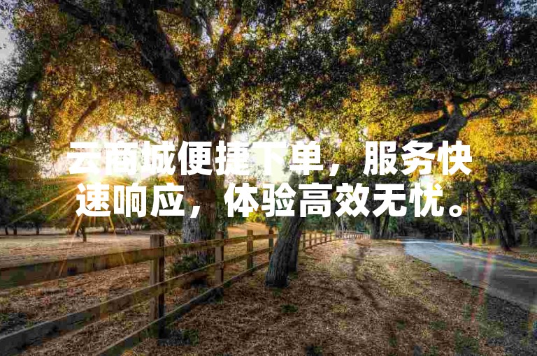 云商城便捷下单，服务快速响应，体验高效无忧。