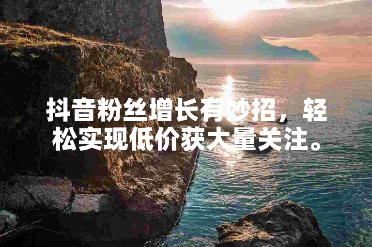 抖音粉丝增长有妙招，轻松实现低价获大量关注。