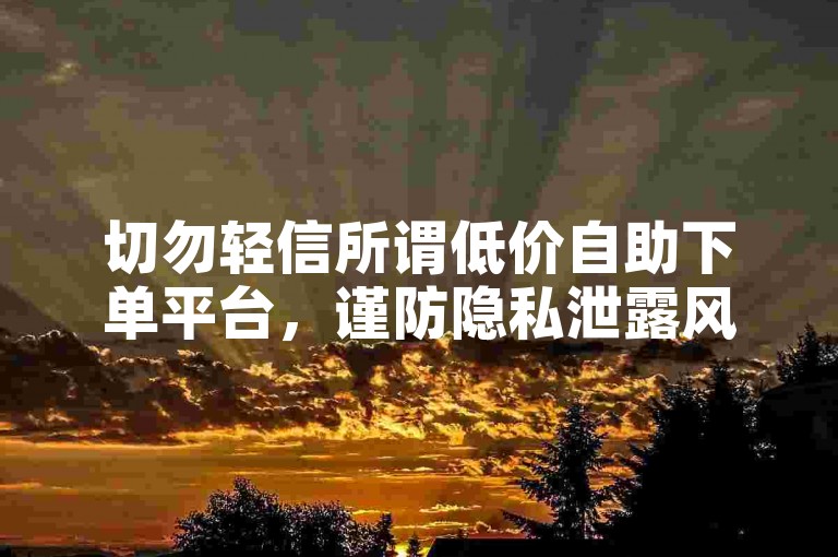 切勿轻信所谓低价自助下单平台，谨防隐私泄露风险。