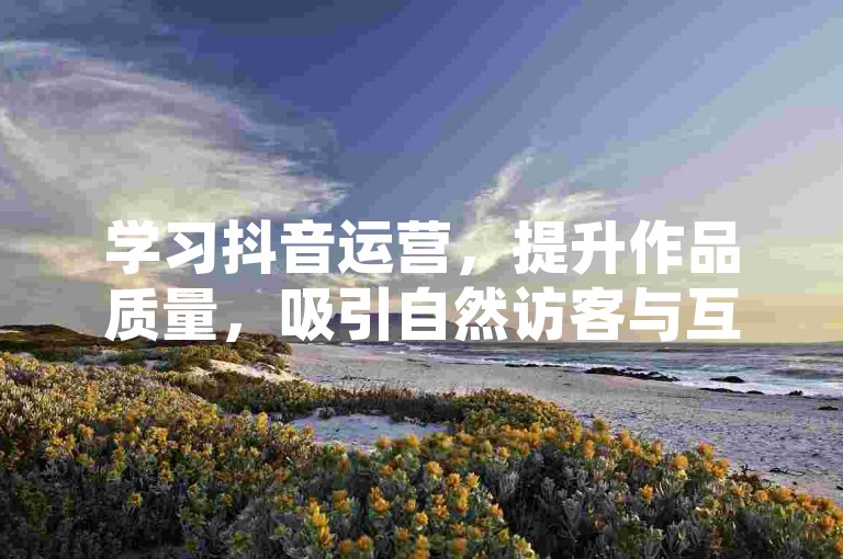 学习抖音运营，提升作品质量，吸引自然访客与互动。