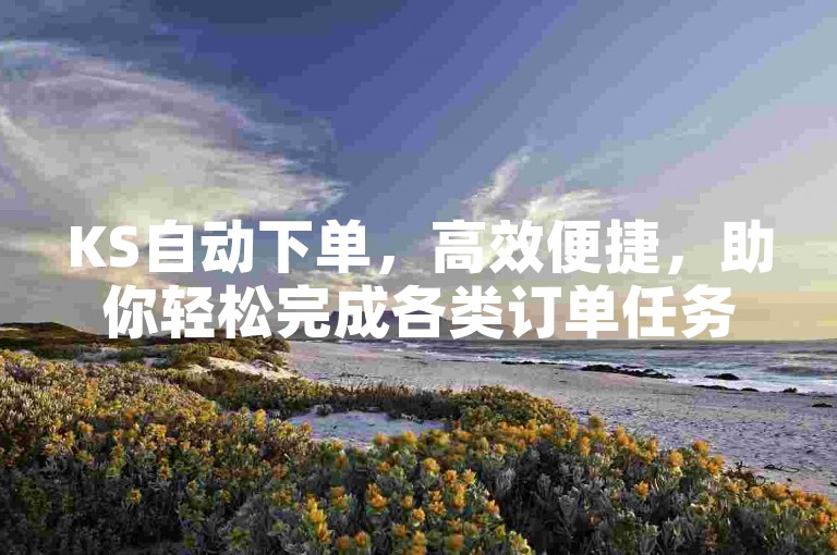 KS自动下单，高效便捷，助你轻松完成各类订单任务。