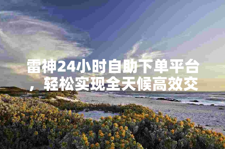 雷神24小时自助下单平台，轻松实现全天候高效交易。