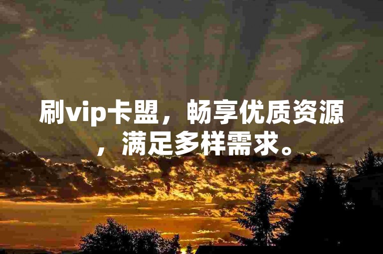 刷vip卡盟，畅享优质资源，满足多样需求。