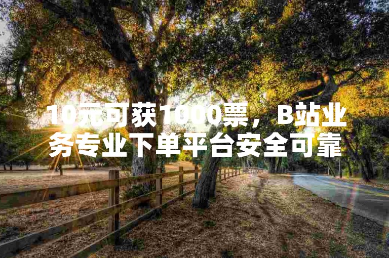 10元可获1000票，B站业务专业下单平台安全可靠。