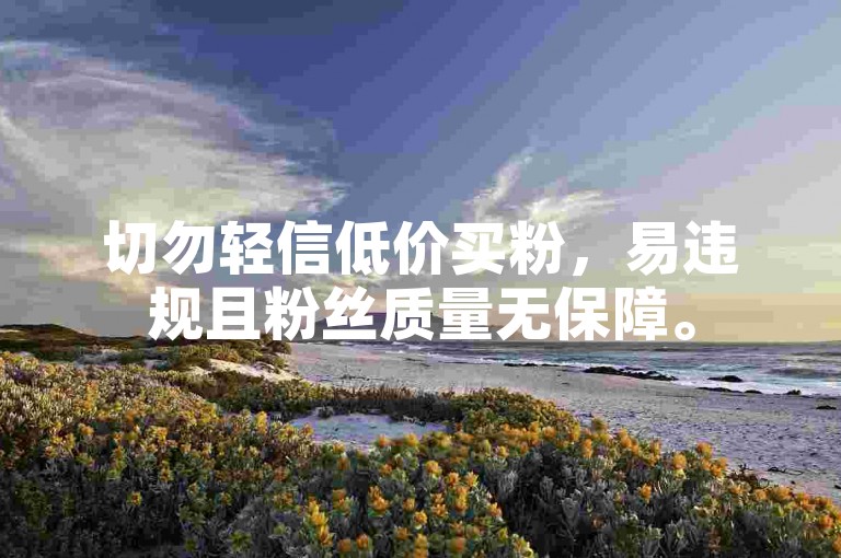 切勿轻信低价买粉，易违规且粉丝质量无保障。