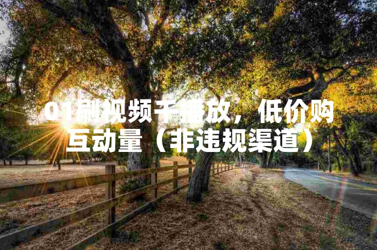01刷视频千播放，低价购互动量（非违规渠道）