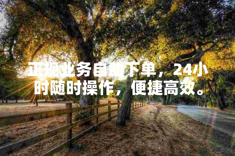 正规业务自助下单，24小时随时操作，便捷高效。