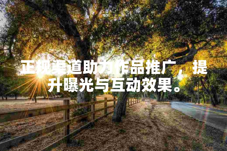 正规渠道助力作品推广，提升曝光与互动效果。