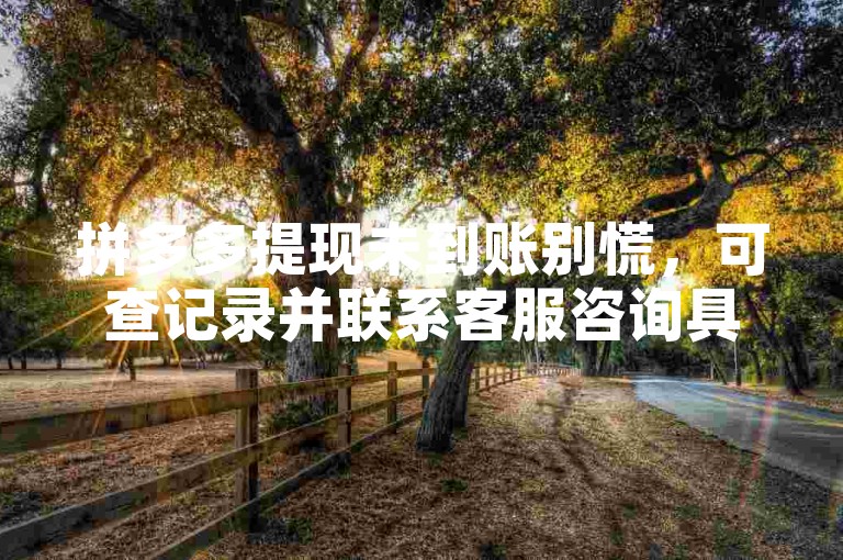 拼多多提现未到账别慌，可查记录并联系客服咨询具体情况。