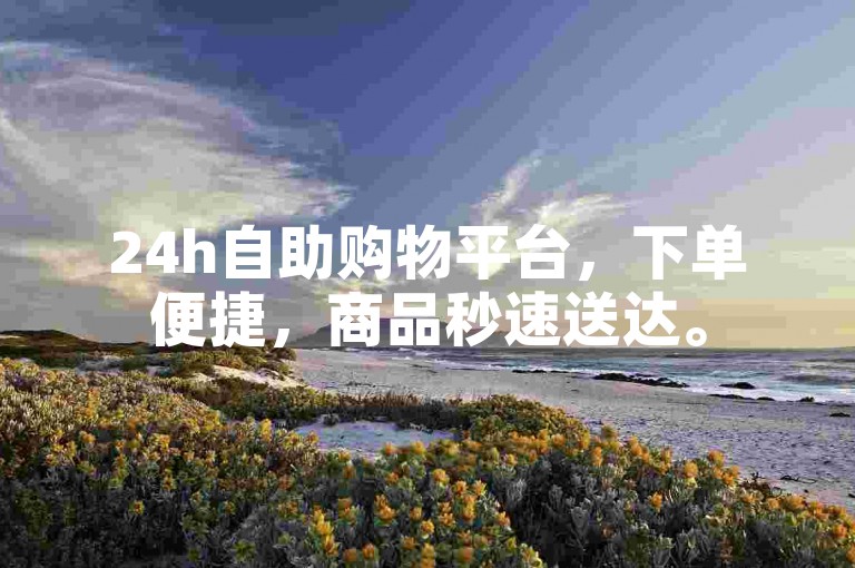 24h自助购物平台，下单便捷，商品秒速送达。