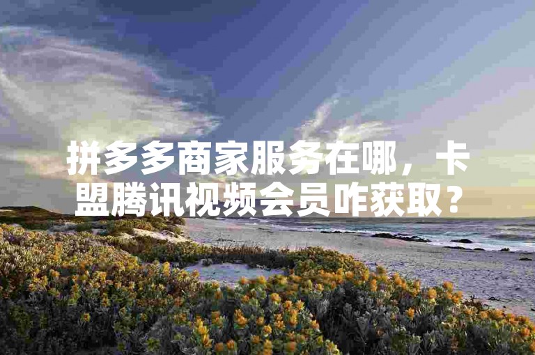 拼多多商家服务在哪，卡盟腾讯视频会员咋获取？