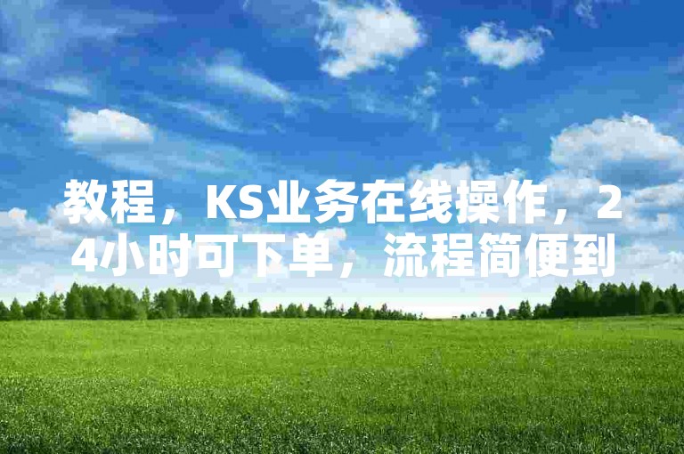 教程，KS业务在线操作，24小时可下单，流程简便到账快。