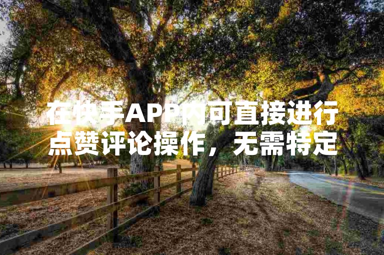 在快手APP内可直接进行点赞评论操作，无需特定网址。