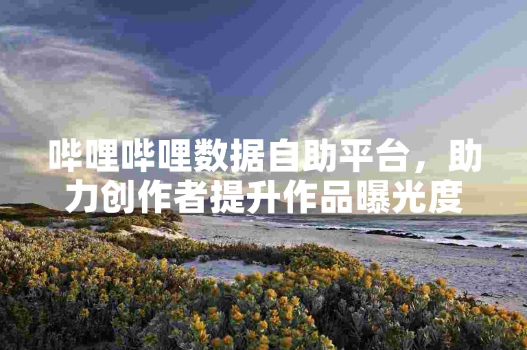 哔哩哔哩数据自助平台，助力创作者提升作品曝光度。