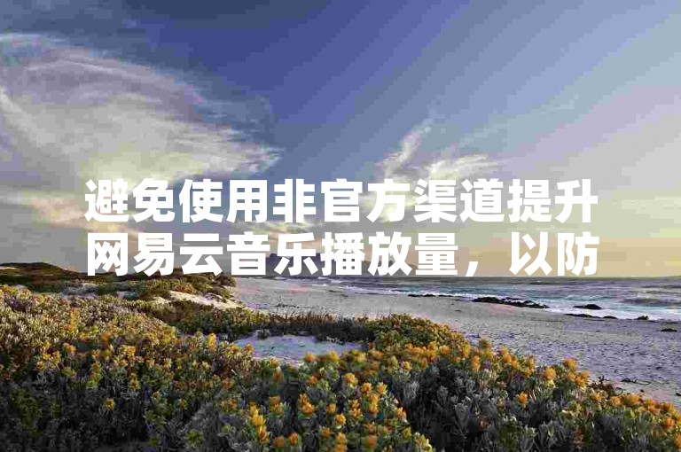 避免使用非官方渠道提升网易云音乐播放量，以防账号风险。