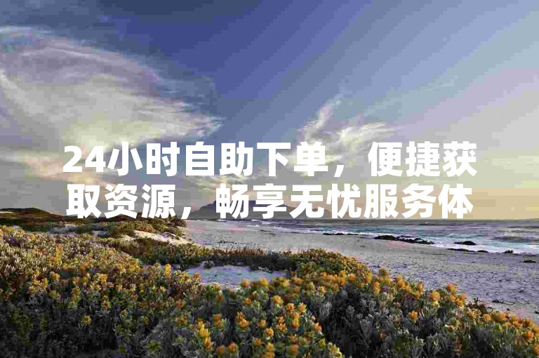 24小时自助下单，便捷获取资源，畅享无忧服务体验。