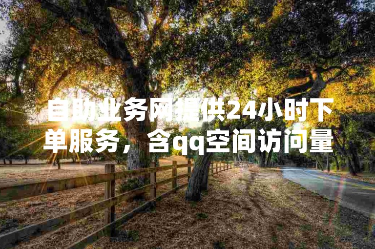 自助业务网提供24小时下单服务，含qq空间访问量提升功能。