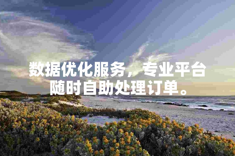 数据优化服务，专业平台随时自助处理订单。