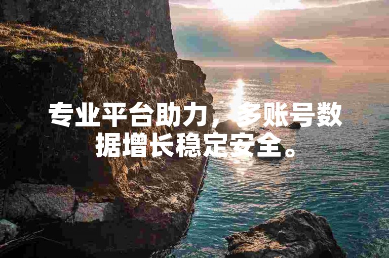 专业平台助力，多账号数据增长稳定安全。