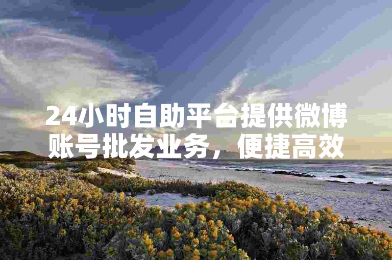 24小时自助平台提供微博账号批发业务，便捷高效。