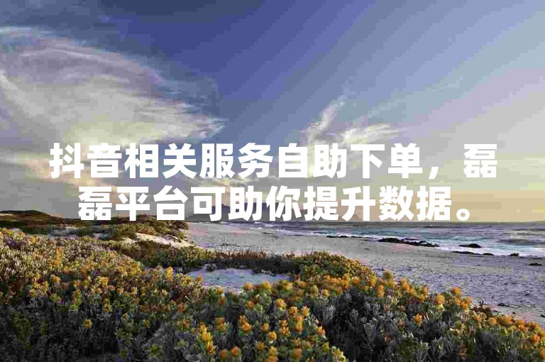 抖音相关服务自助下单，磊磊平台可助你提升数据。