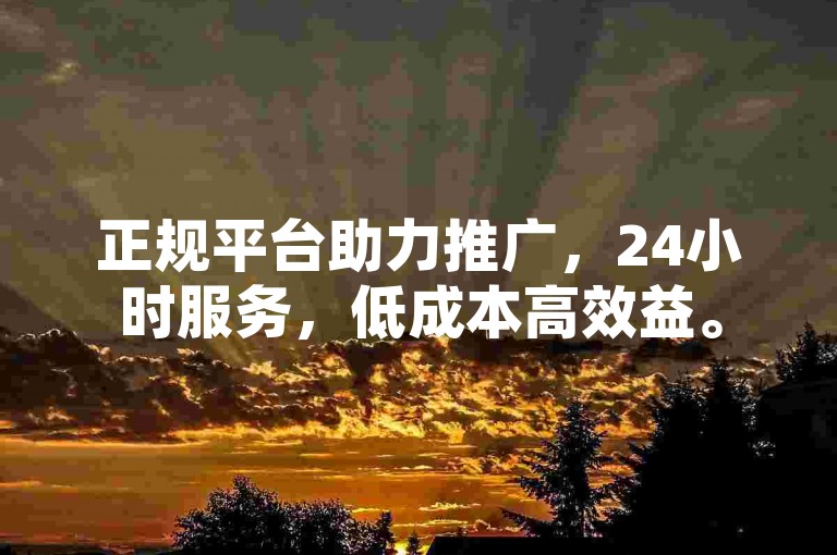 正规平台助力推广，24小时服务，低成本高效益。