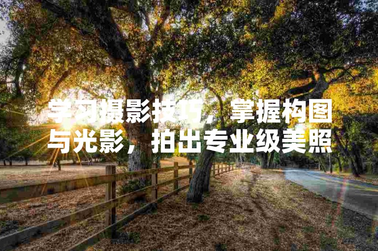 学习摄影技巧，掌握构图与光影，拍出专业级美照。