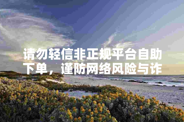 请勿轻信非正规平台自助下单，谨防网络风险与诈骗。