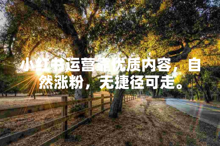 小红书运营靠优质内容，自然涨粉，无捷径可走。