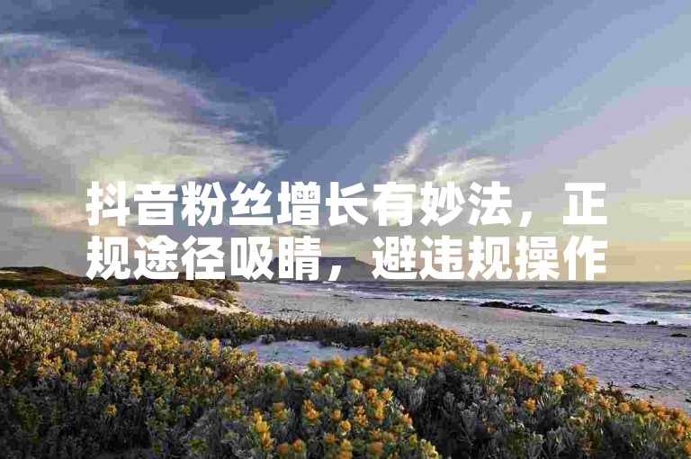 抖音粉丝增长有妙法，正规途径吸睛，避违规操作。